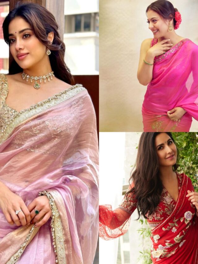 Bollywood Celebs in Beautiful Sarees